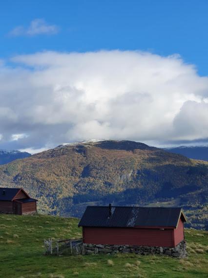 LusterMolden 2-Fjellutsikt Og Jacuzzi Tilgang.公寓 外观 照片